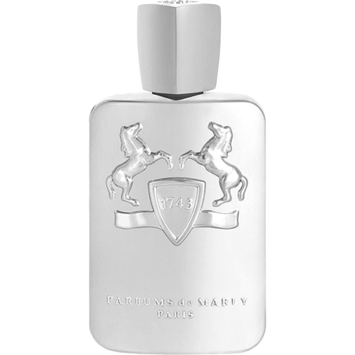 PARFUMS DE MARLY - GALLOWAY - Eau De Parfum –  Meyveli Odunsu - Unisex