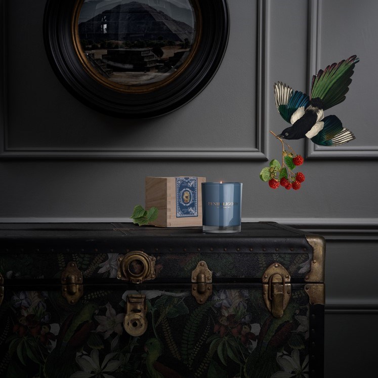 CLASSIC CANDLES ROANOKE IVY 4
