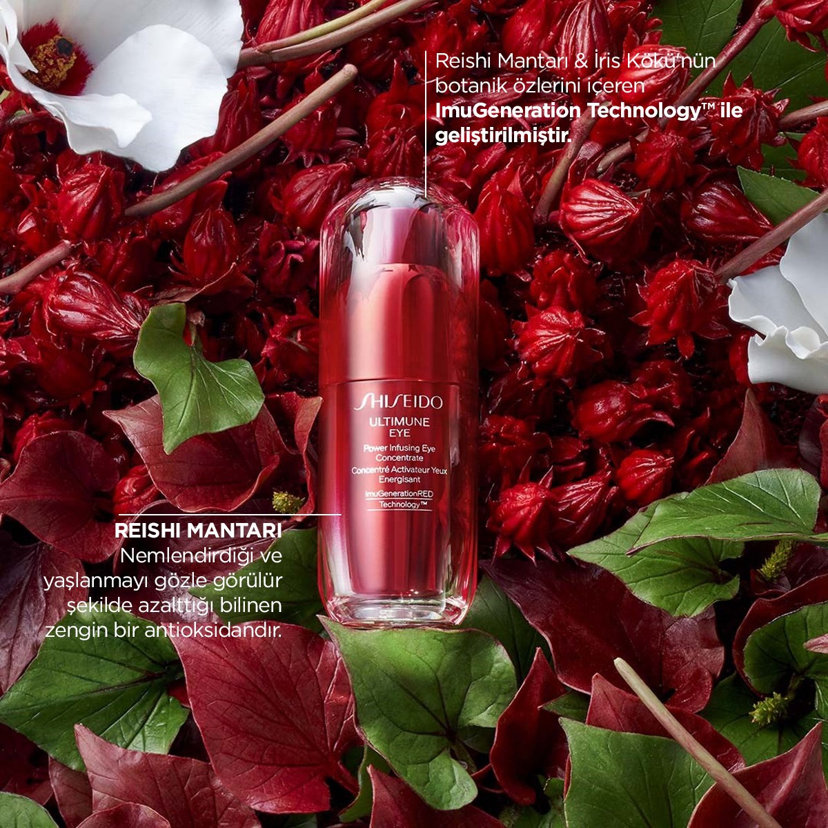 Shiseido Ultimune Power Infusing Duo - Yeni Anti-Aging Serumu