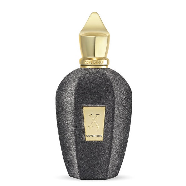 XERJOFF - OUVERTURE - Eau De Parfum – Çiçeksi Meyveli– Unisex 