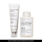 SCALP & HAIR ESSENTIAL DUO