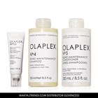 EVERLASTING SHINY HAIR RITUAL