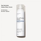 No. 4D CLEAN VOLUME DETOX DRY SHAMPOO