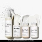 HAIR REPAIR TREATMENT KIT