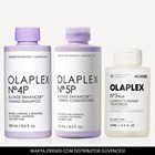 THE BLONDE & GREY HAIR-STRENGTHENING SYSTEM