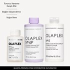 THE BLONDE MAINTENANCE SYSTEM