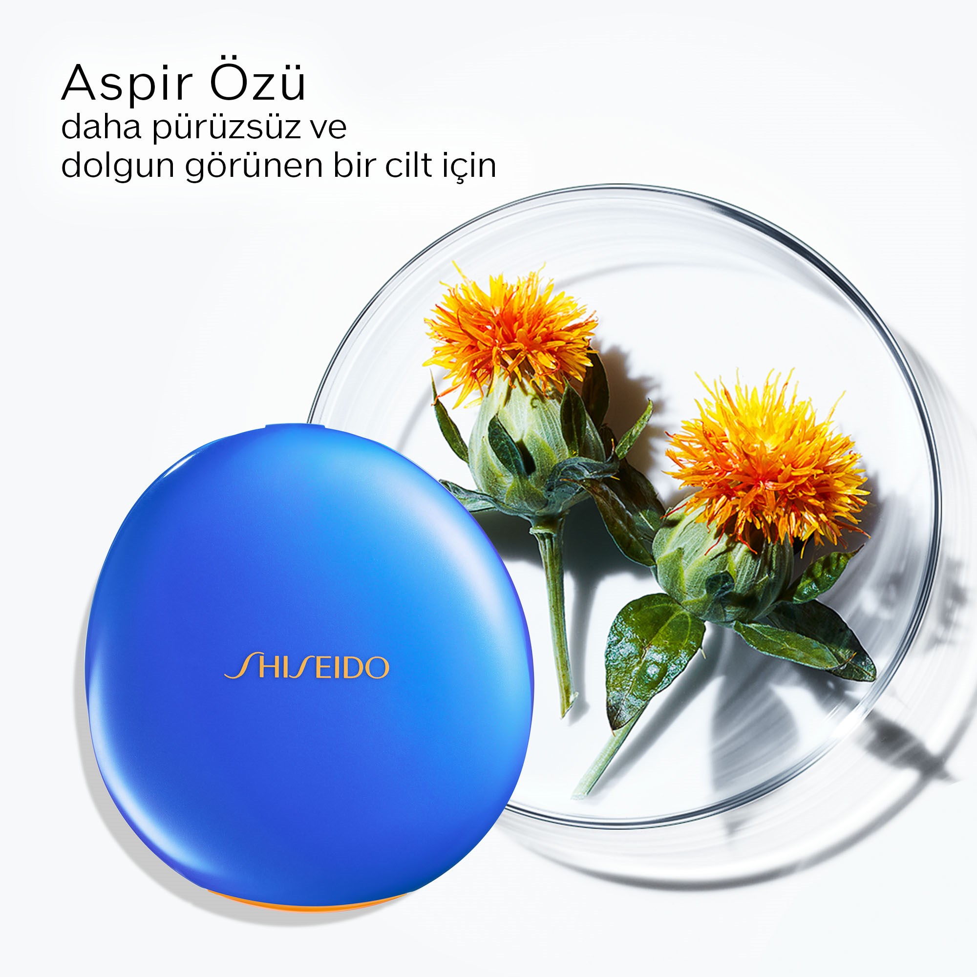 UV PROTECTIVE COMPACT FOUNDATION SPF30 4