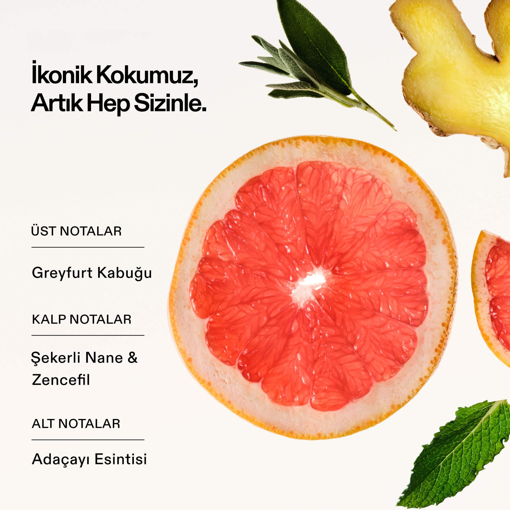 SIGNATURE HAIR & BODY MIST 6