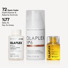 FRIZZ FREE HAIR PERFECTION SET